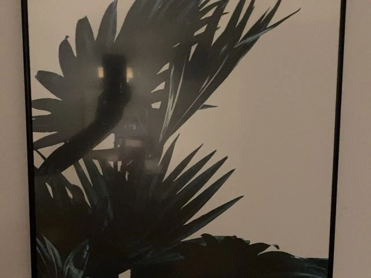 Billede 2 - Sæt med 2 plakater i ramme – botanisk motiv 