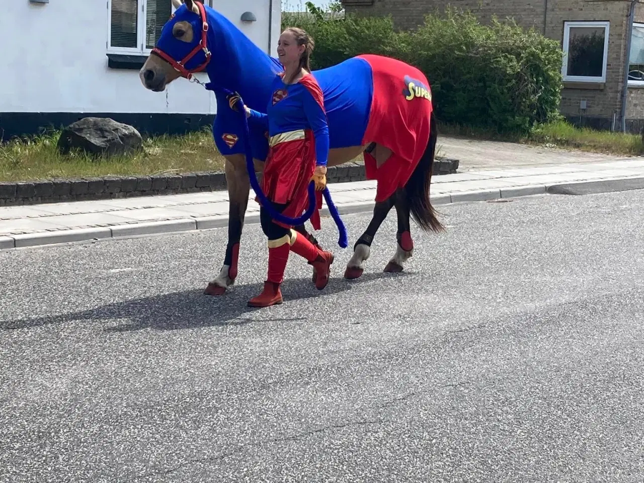 Billede 5 - Spirit hest sælges🐴