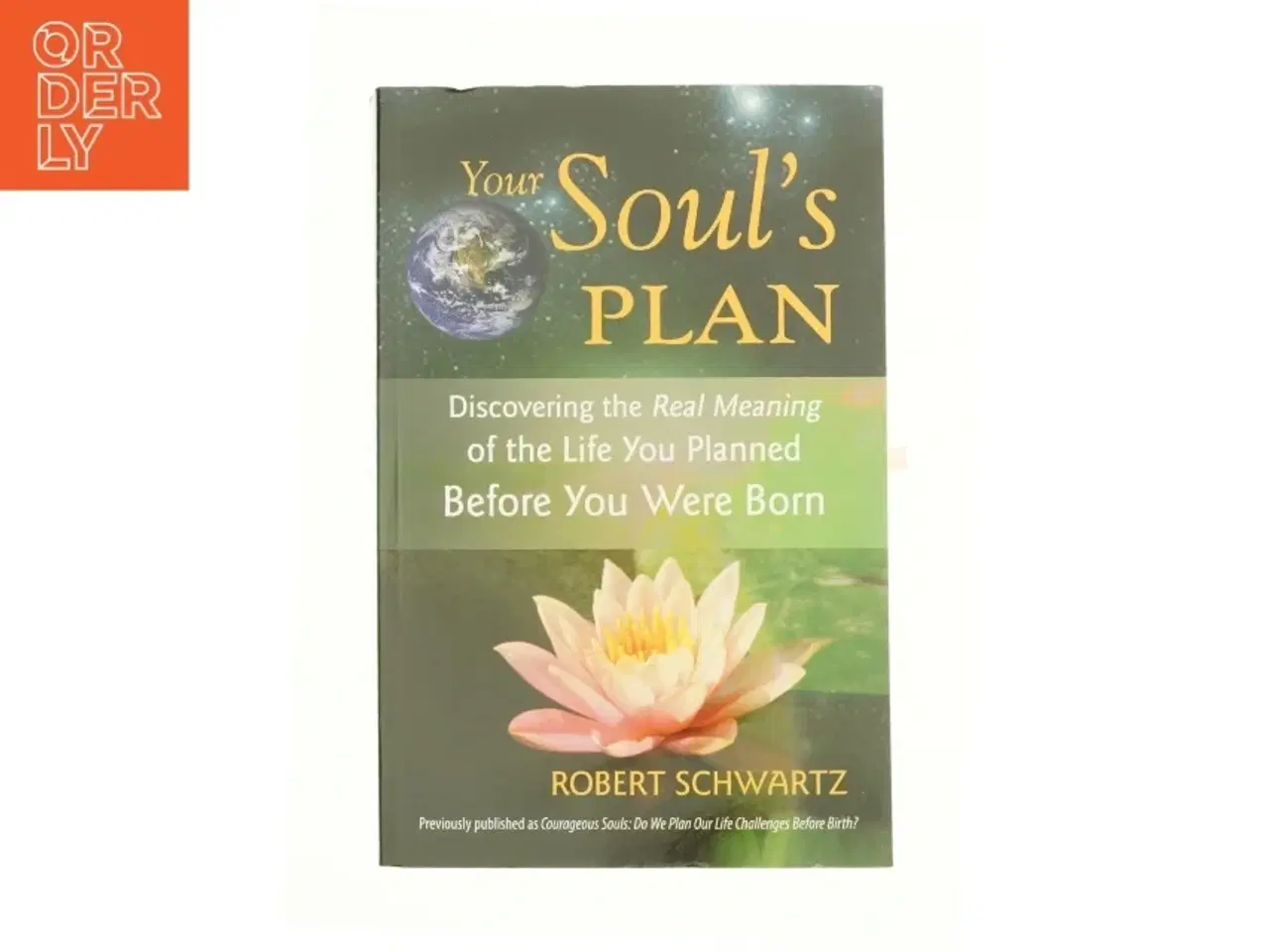 Billede 1 - Your Soul&#39;s Plan af Robert Schwartz (Bog)