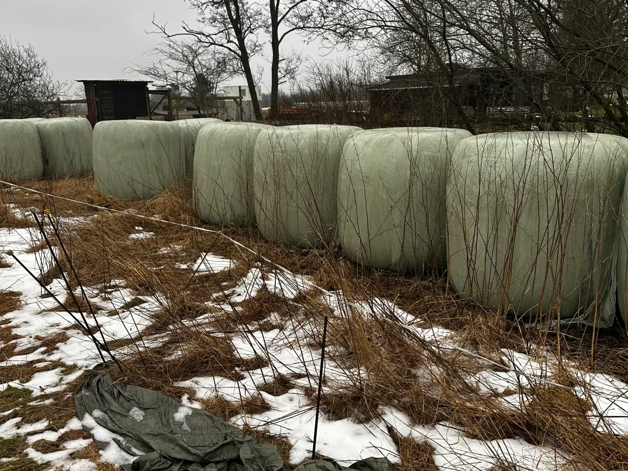 Billede 2 - Wrap hø. Slået og pakket slut juni 2024.Ø 130 cm