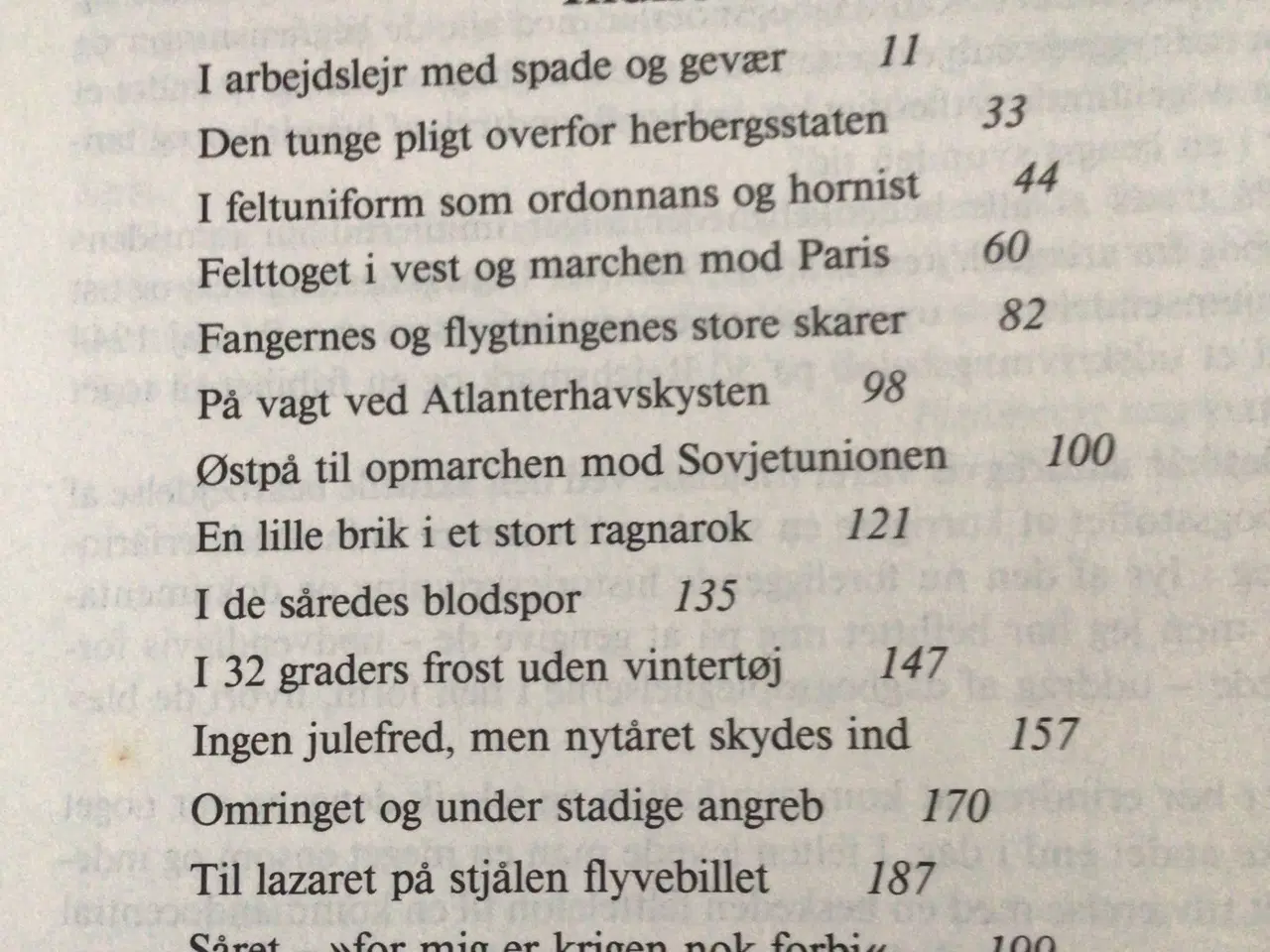 Billede 3 - Krigens lænker - Dansk sydslesvigers dagbog 39-44