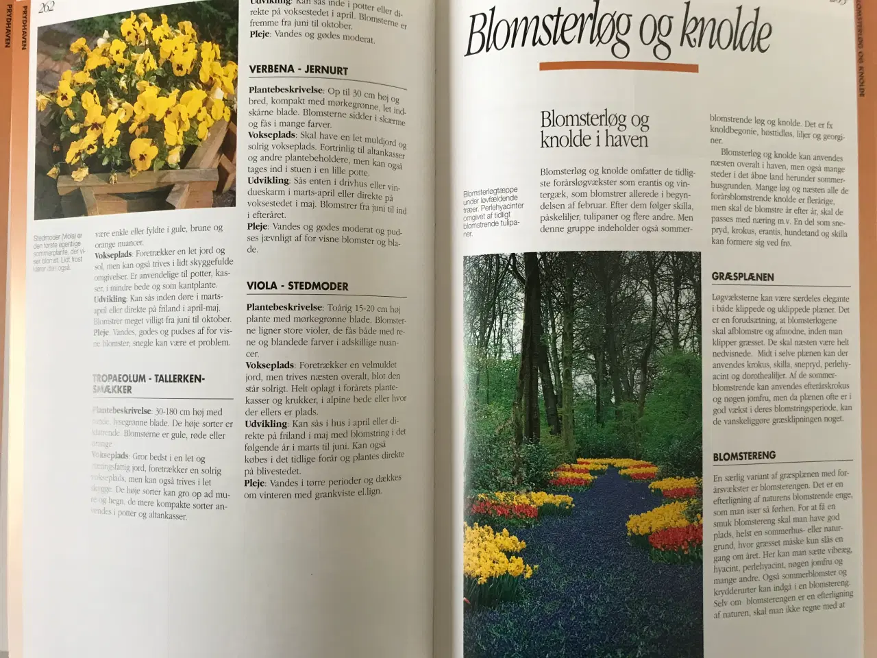 Billede 3 - Havebog 