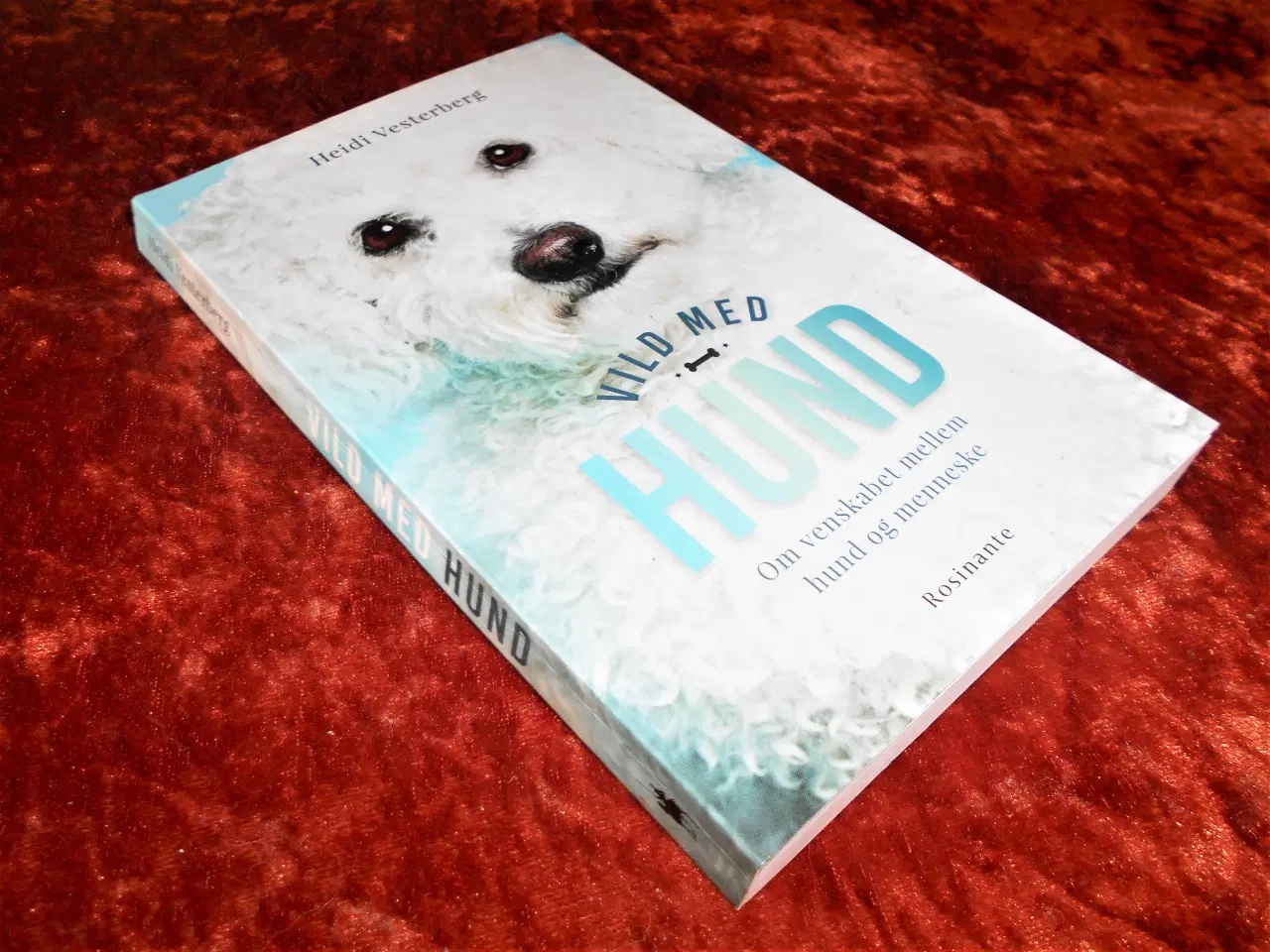 Billede 1 - Vild med hund, Heidi Vesterberg