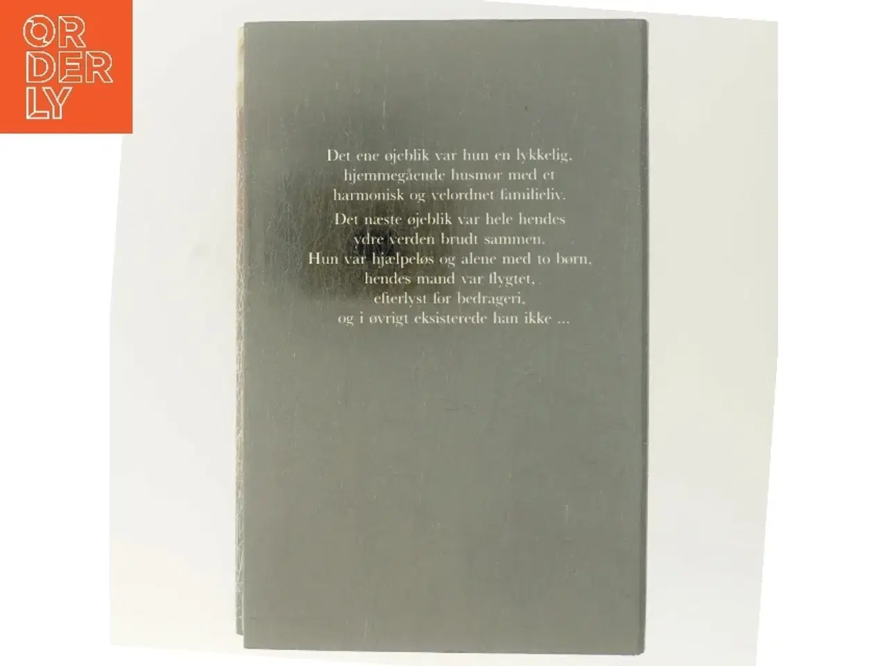 Billede 3 - Den skjulte sandhed af Judith Michael (Bog)