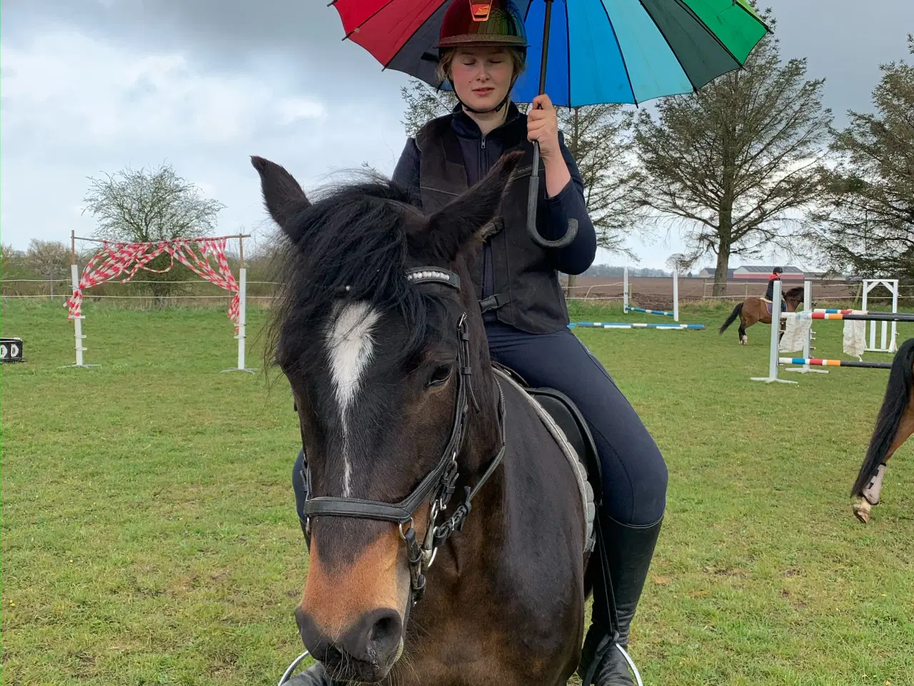 Billede 2 - Highways Luna er klar til nye udfordringer 