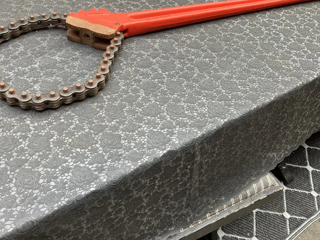 Billede 4 - Kæderørtang