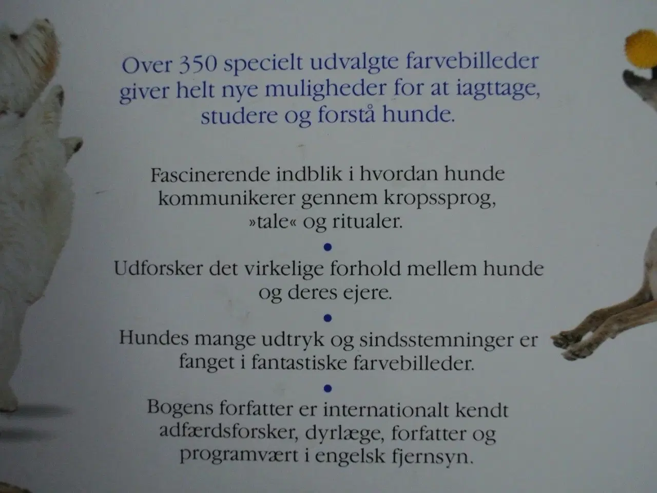 Billede 4 - forstå din hund, af bruce fogle, emne: dyr