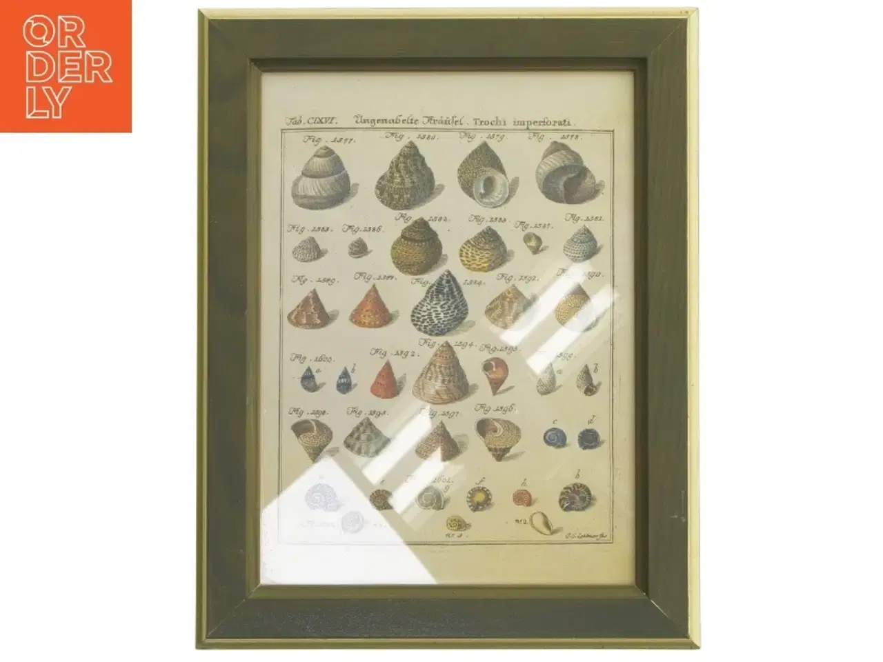 Billede 1 - Billedramme med illustration af snegle fra IKEA (str. 30x23,5 cm)