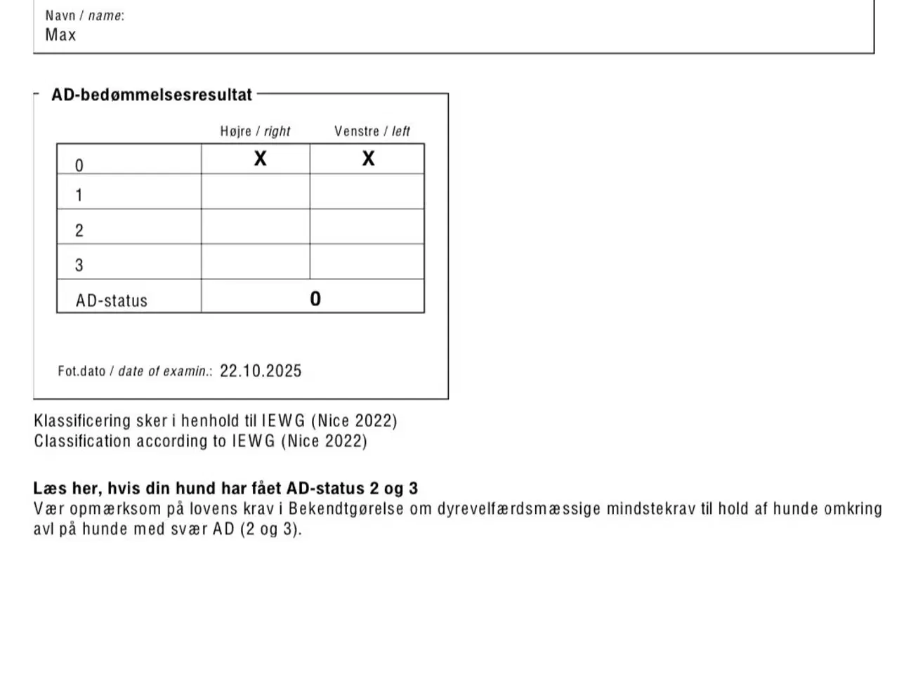 Billede 4 - Rød/gul labrador tilbydes til parring
