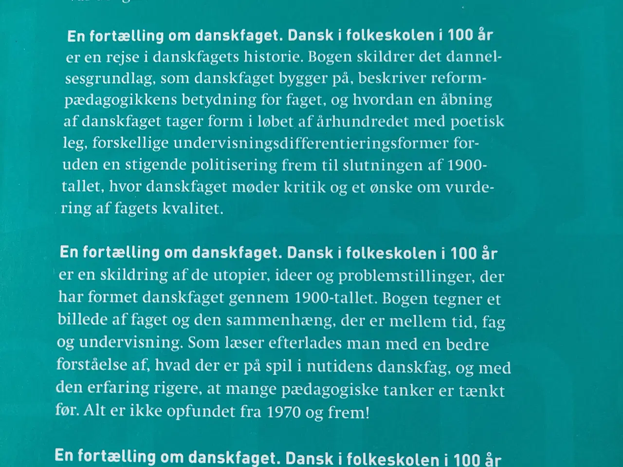 Billede 3 - EN FORTÆLLING OM DANSKFAGET