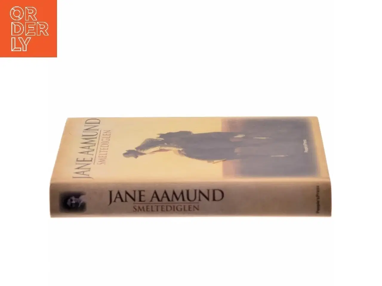 Billede 2 - Smeltediglen : andet bind i slægtskrøniken om de dansk-argentinske indvandrere : roman af Jane Aamund (Bog)