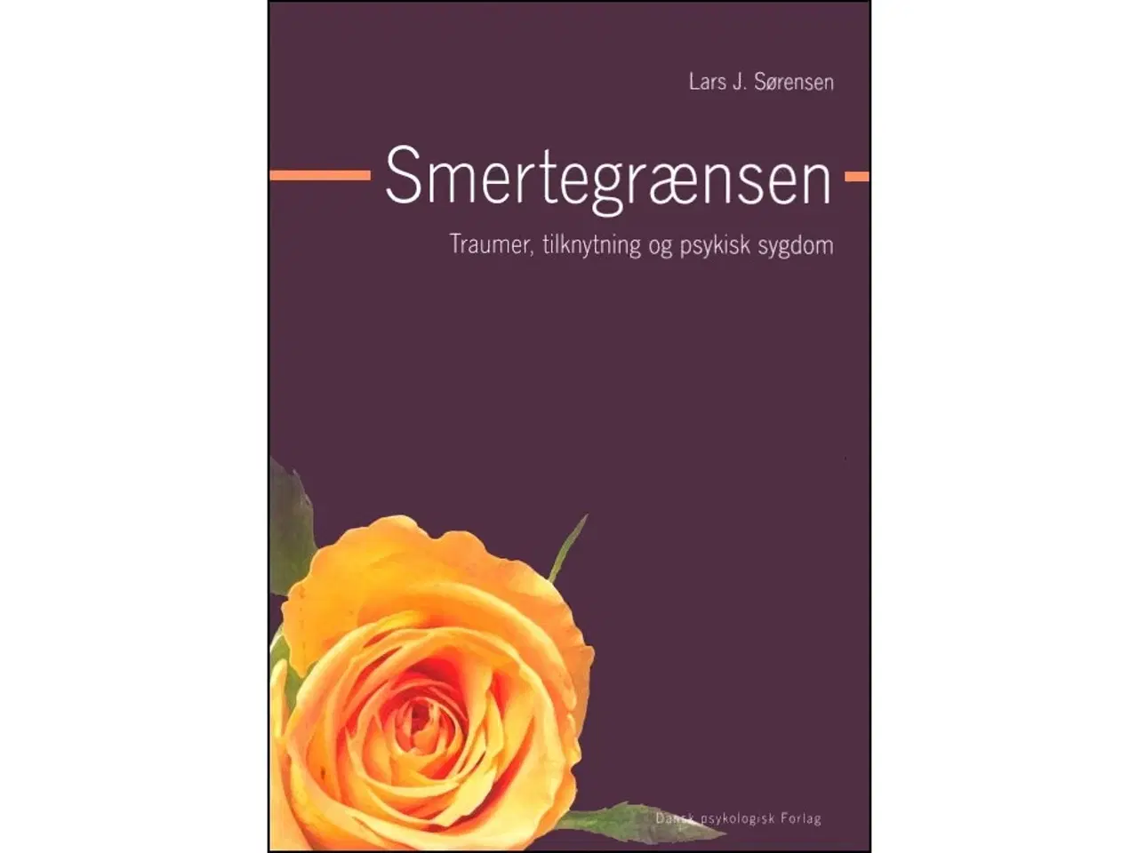 Billede 1 - Smertegrænsen