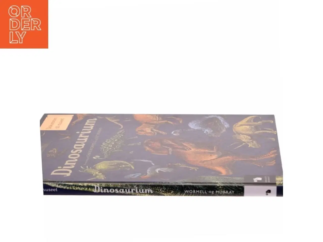 Billede 3 - Dinosaurium af Lily Murray (Bog)