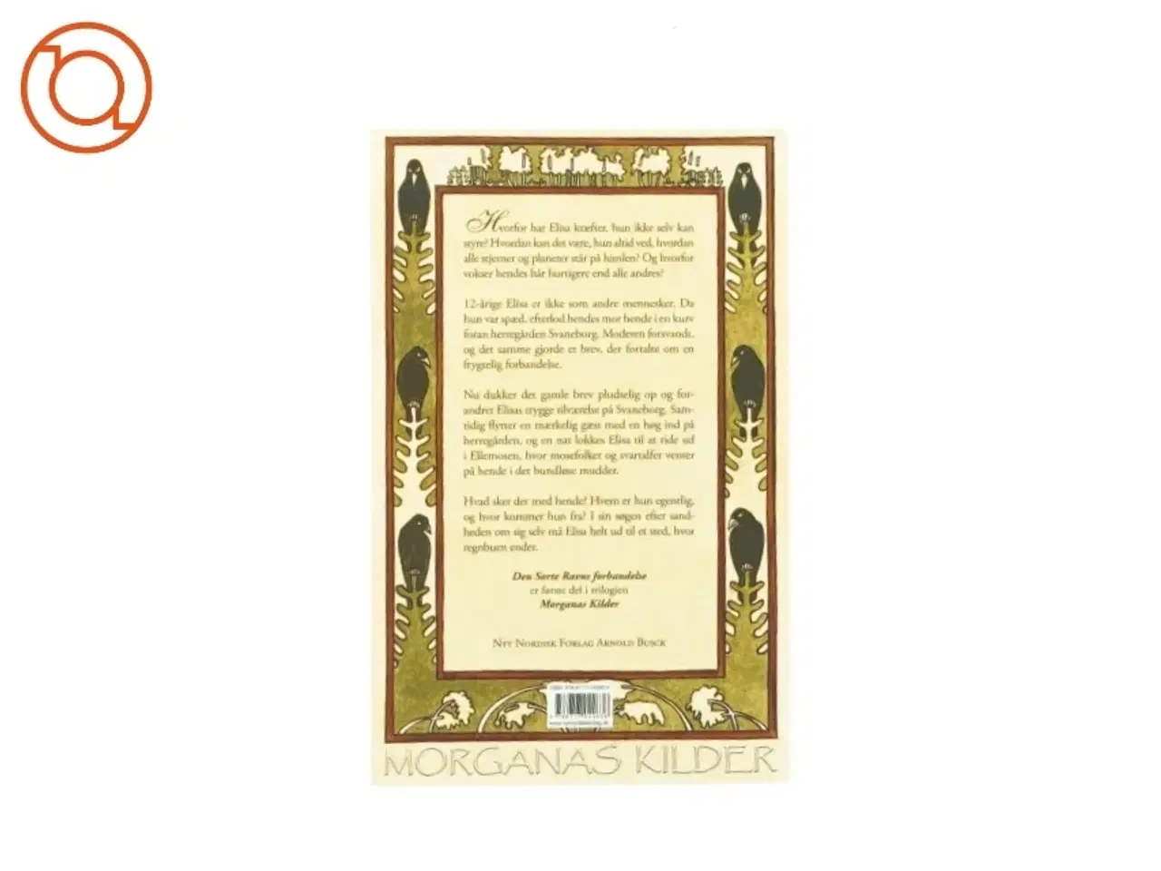 Billede 2 - Den store ravns forbandelse af Helle Ryding (Bog)