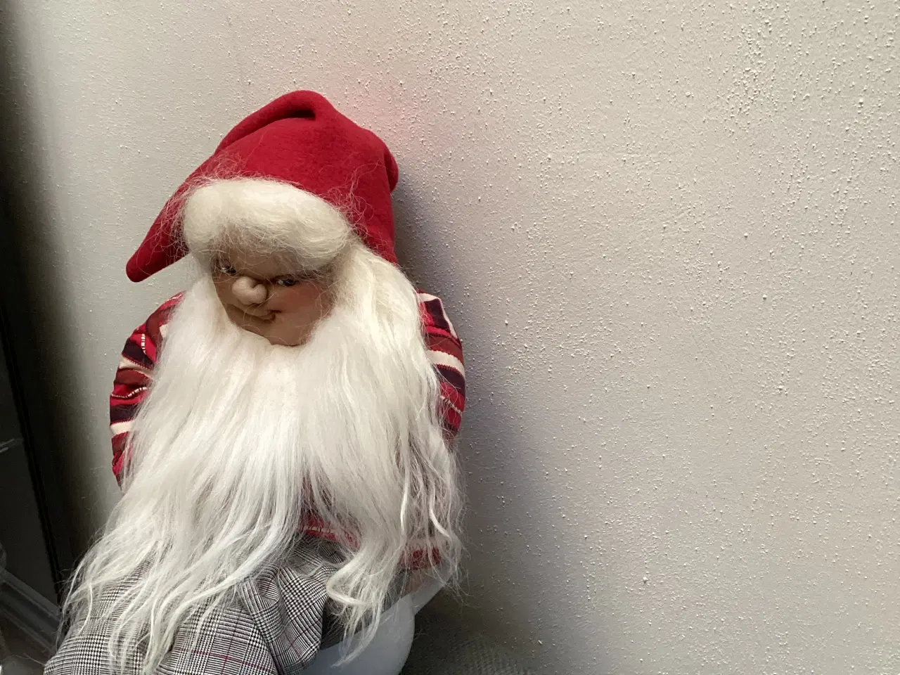 Billede 1 - Strømpenisse. På potte 