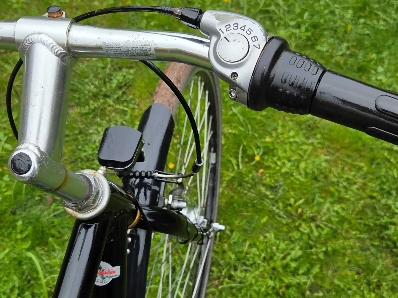 Billede 4 - EVERTON 53 cm 