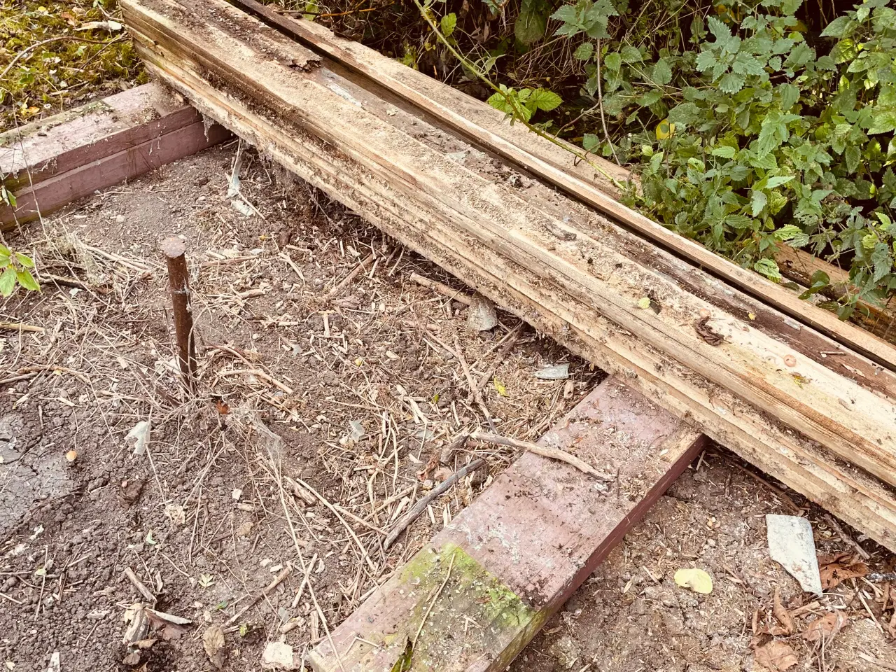 Billede 6 - Gratis Støbekasser 1250*1250*100 + Forskalningsbræ