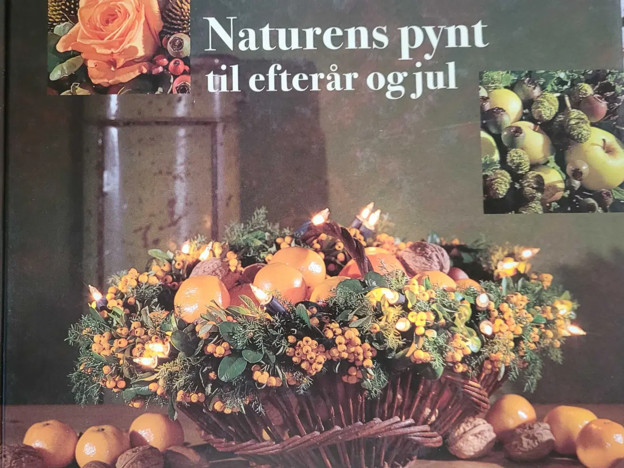 Billede 3 - Hanne Ploug  250kr. for alle 11 Blomster bøger..