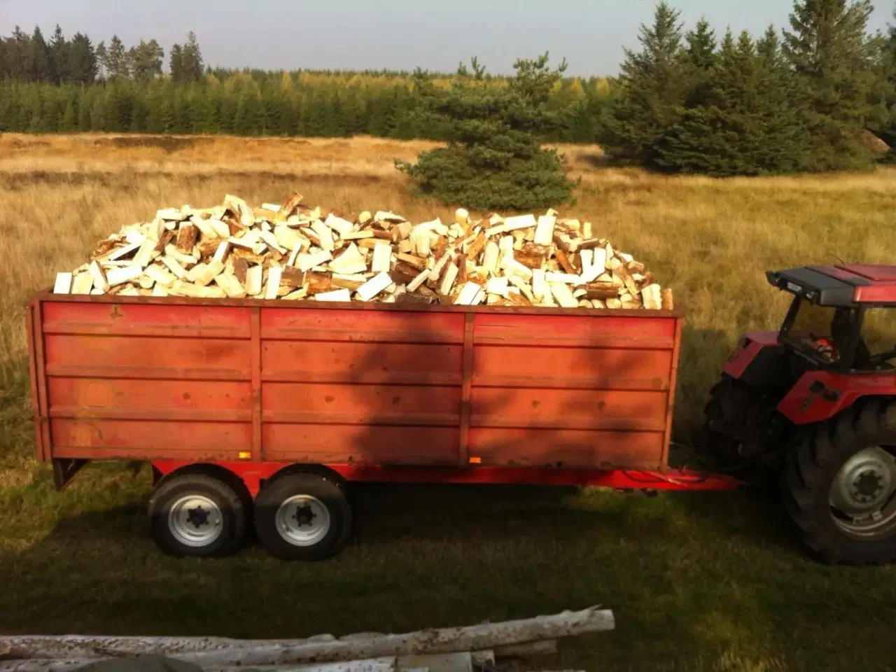 Billede 5 - Brænde 