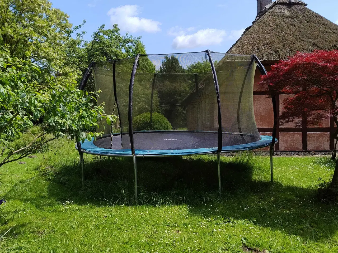 Billede 3 - Trampolin stor til god pris 