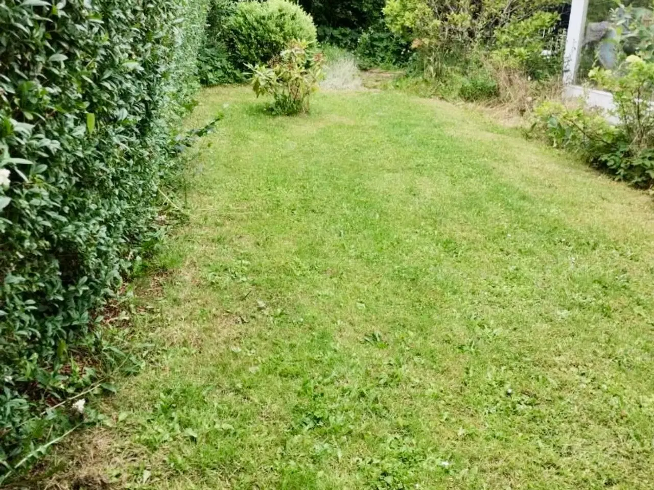 Billede 17 - Kolonihave Køge
