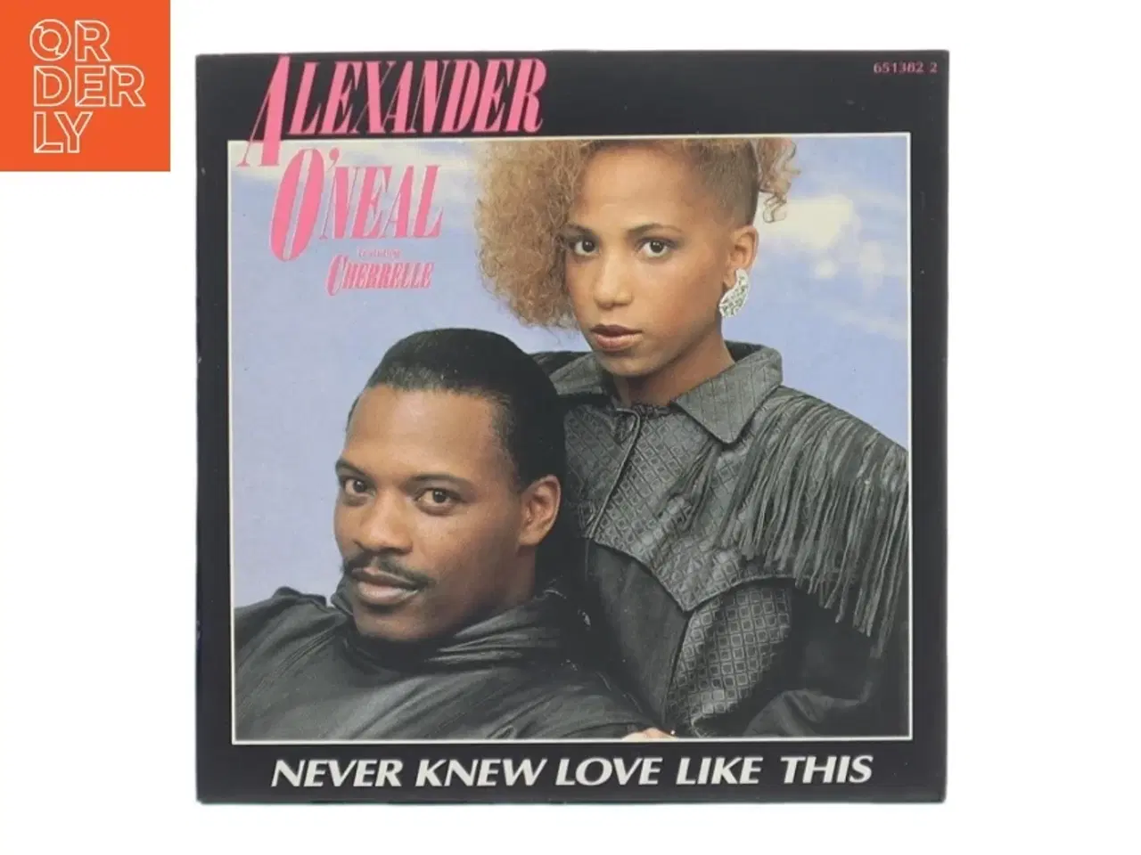 Billede 1 - Never Knew Love Like This (DVD)