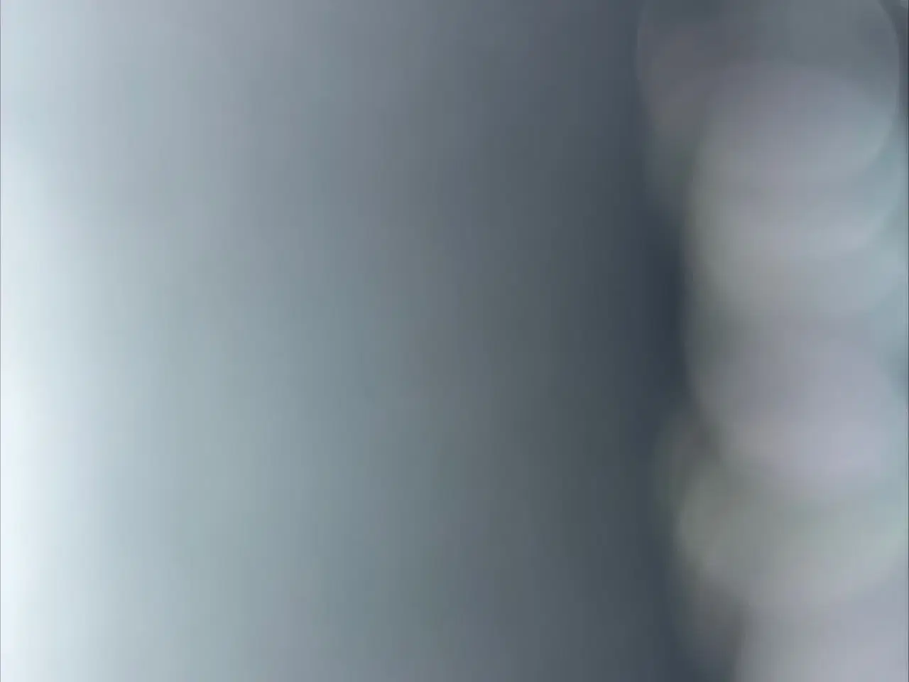 Billede 1 - KØBES dansksvensk gårdhund pige