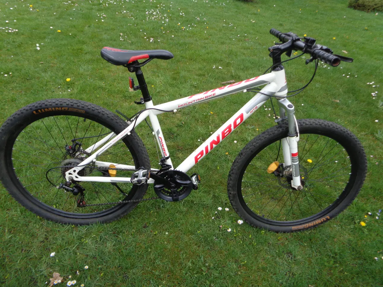 Billede 1 - Pinbo MTB