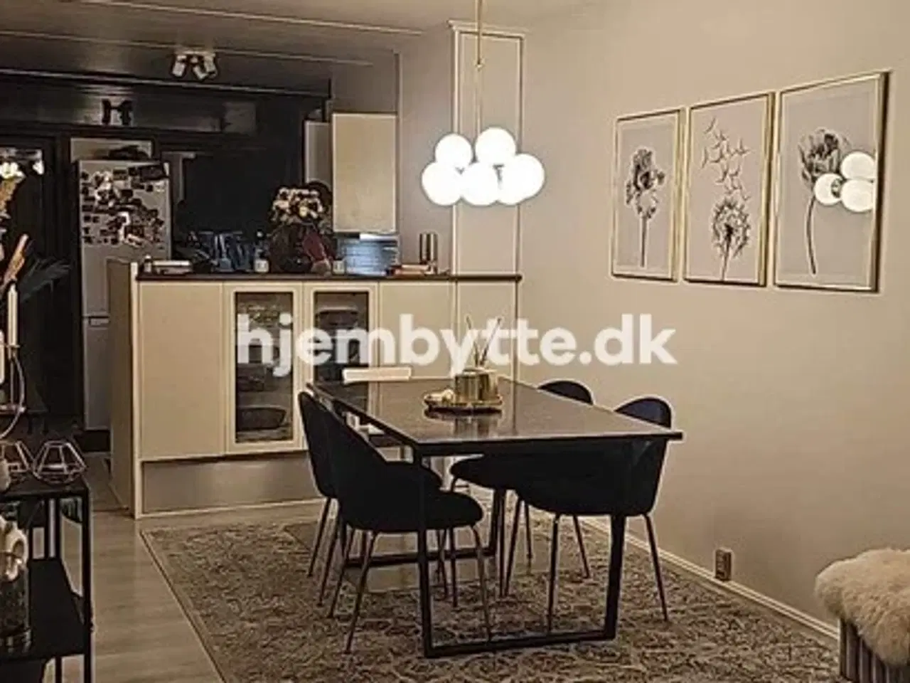 Billede 4 - Hjembytte - SofusFrancksVænge