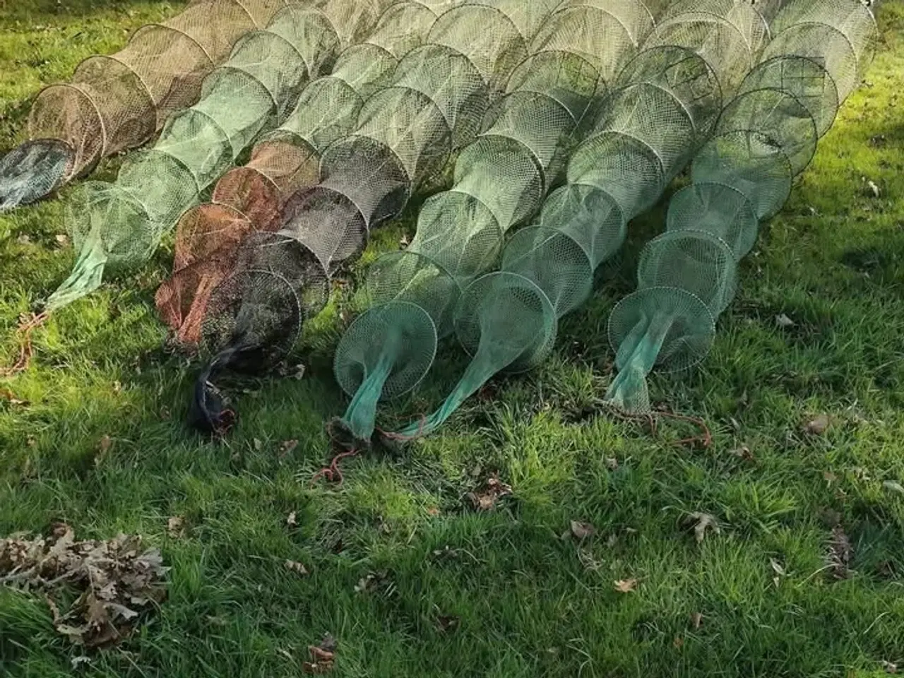 Billede 4 - fiskegarn og ruser