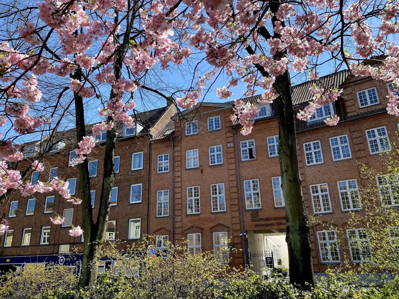 Billede 14 - Lav leje pr. md. det første halve år. Centralt kontorlejemål i prisbelønnet ejendom – Nedergade Kvarteret. Odense C