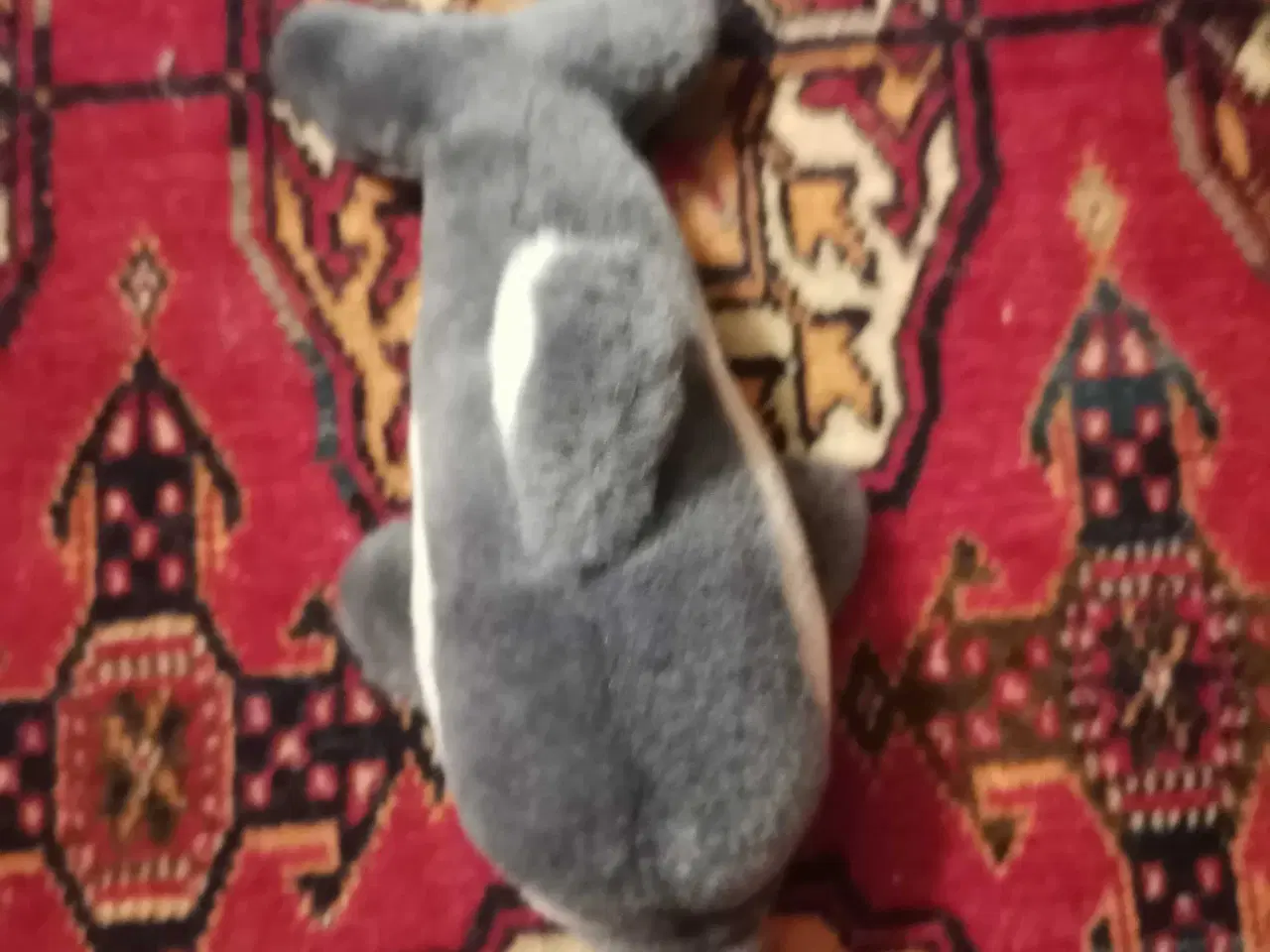 Billede 15 - Josefine sælger ud 10 kr pr stk 🌸