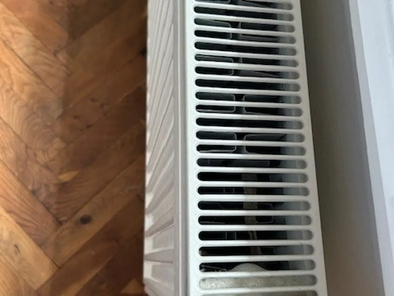 Billede 2 - Purmo radiator dobbelradet