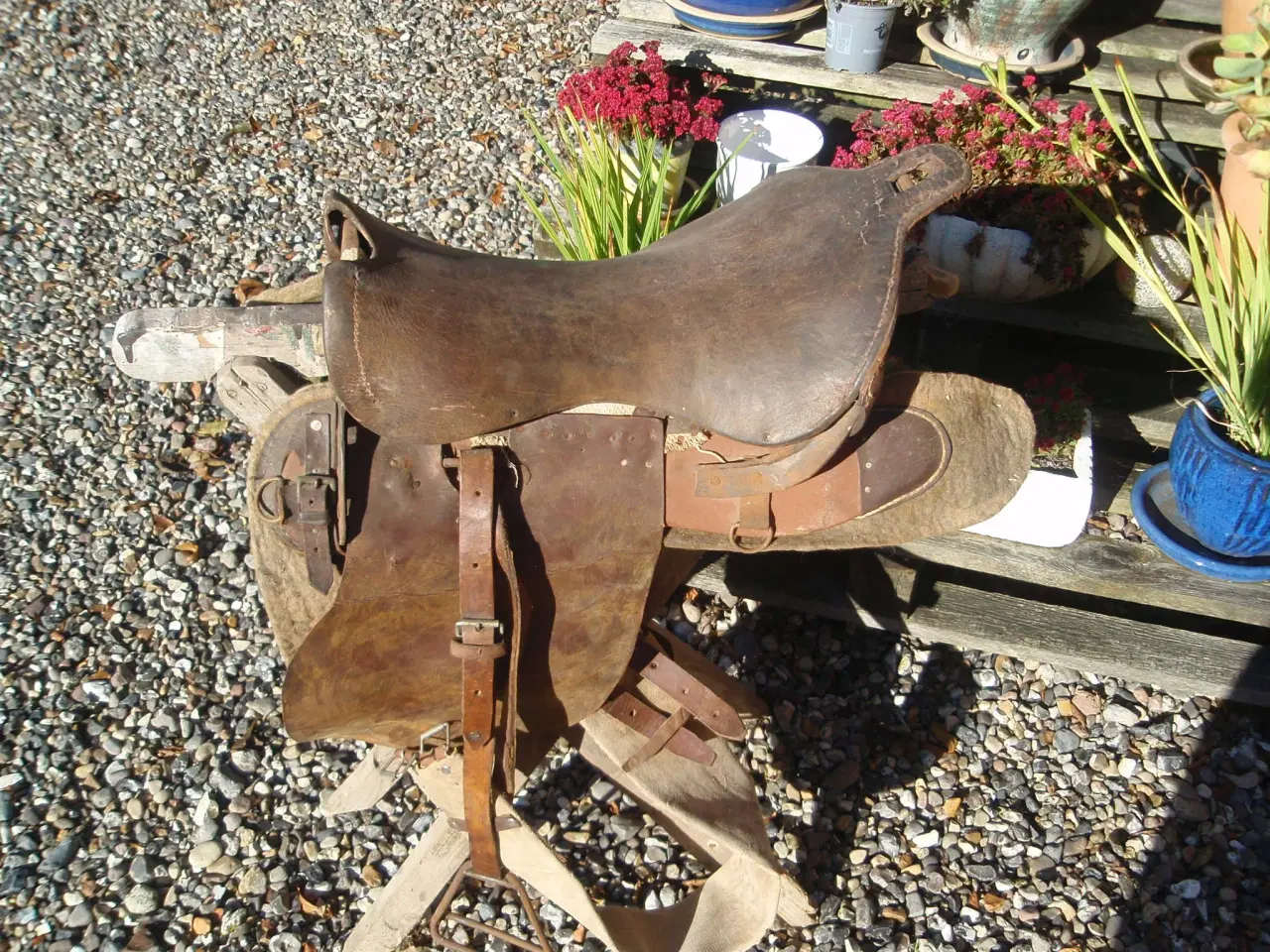 Billede 2 - Æsel sadel