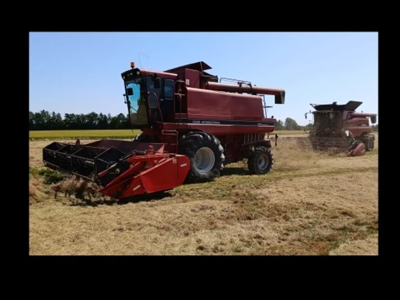 Billede 1 - 20' Mejetærsker Case AF 1680