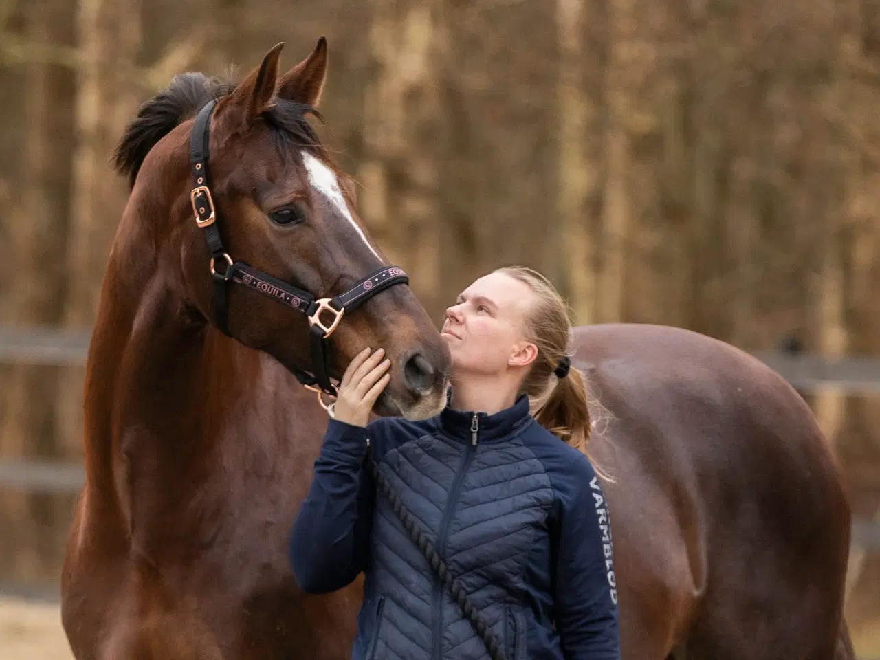 Billede 5 - Min elskede hoppe søger nyt hjem.