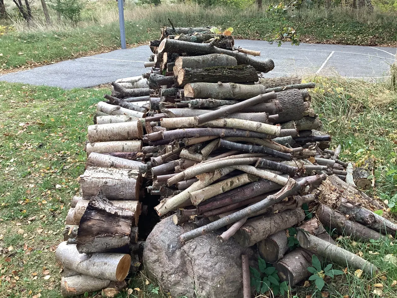 Billede 7 - Firewood