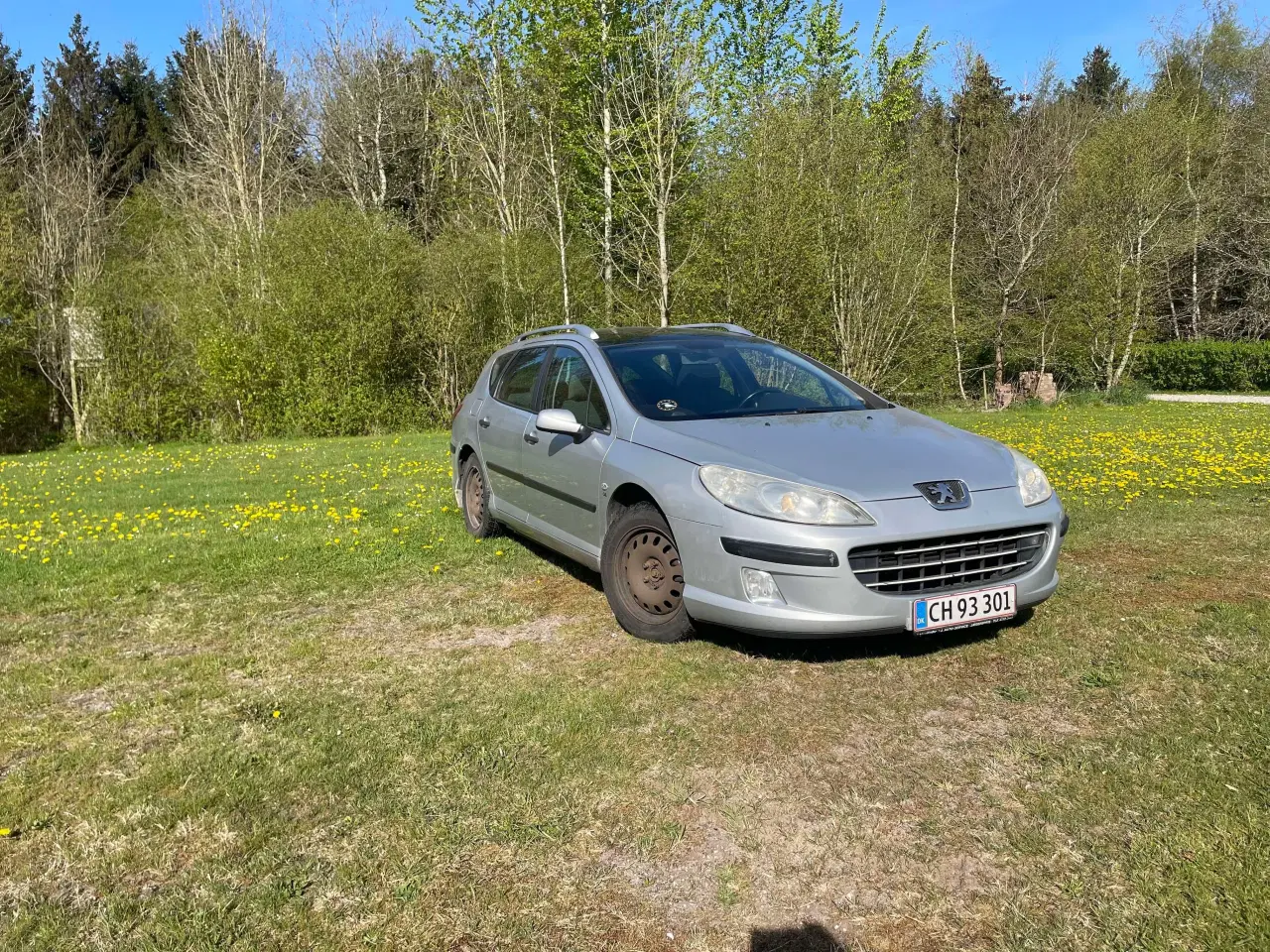 Billede 1 - Peugeot 407 sw