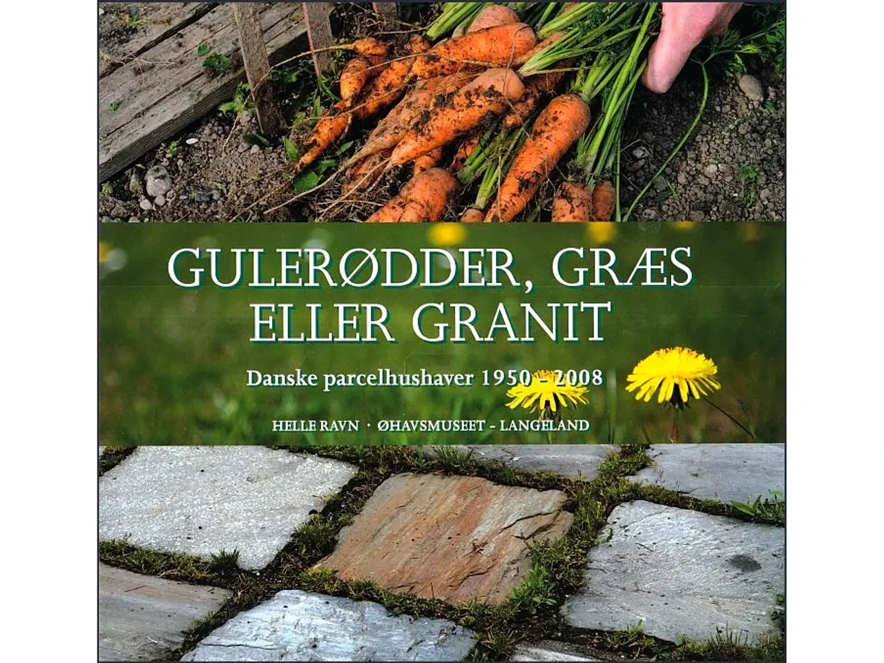 Billede 1 - Gulerødder, græs eller granit