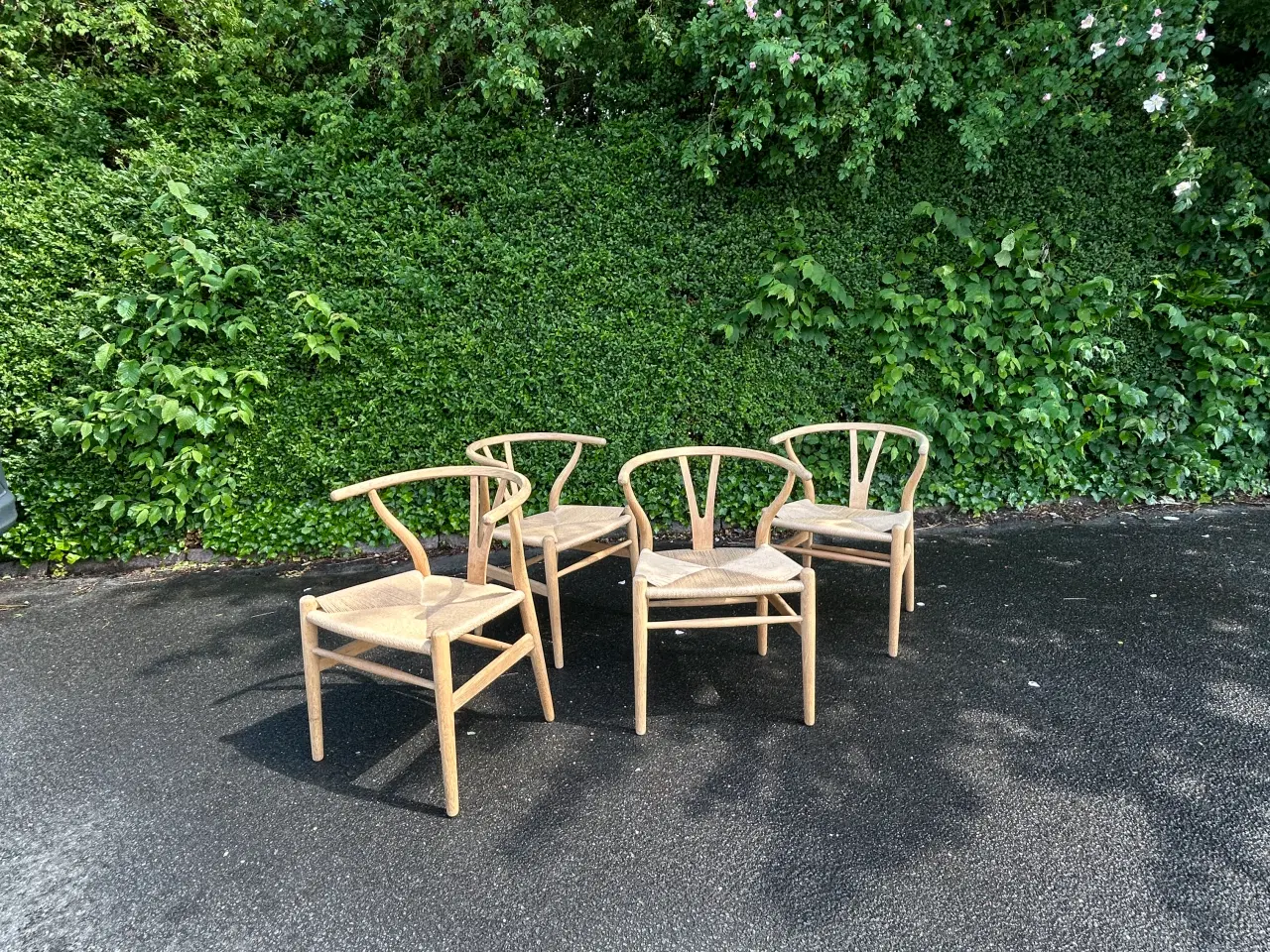 Billede 1 - Y-stole CH24 Eg, Design Hans J. Wegner