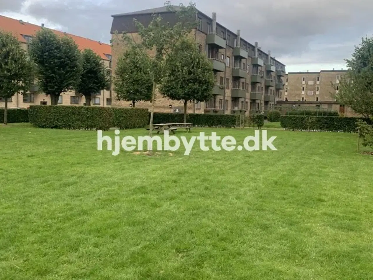 Billede 13 - Hjembytte - Bobakken