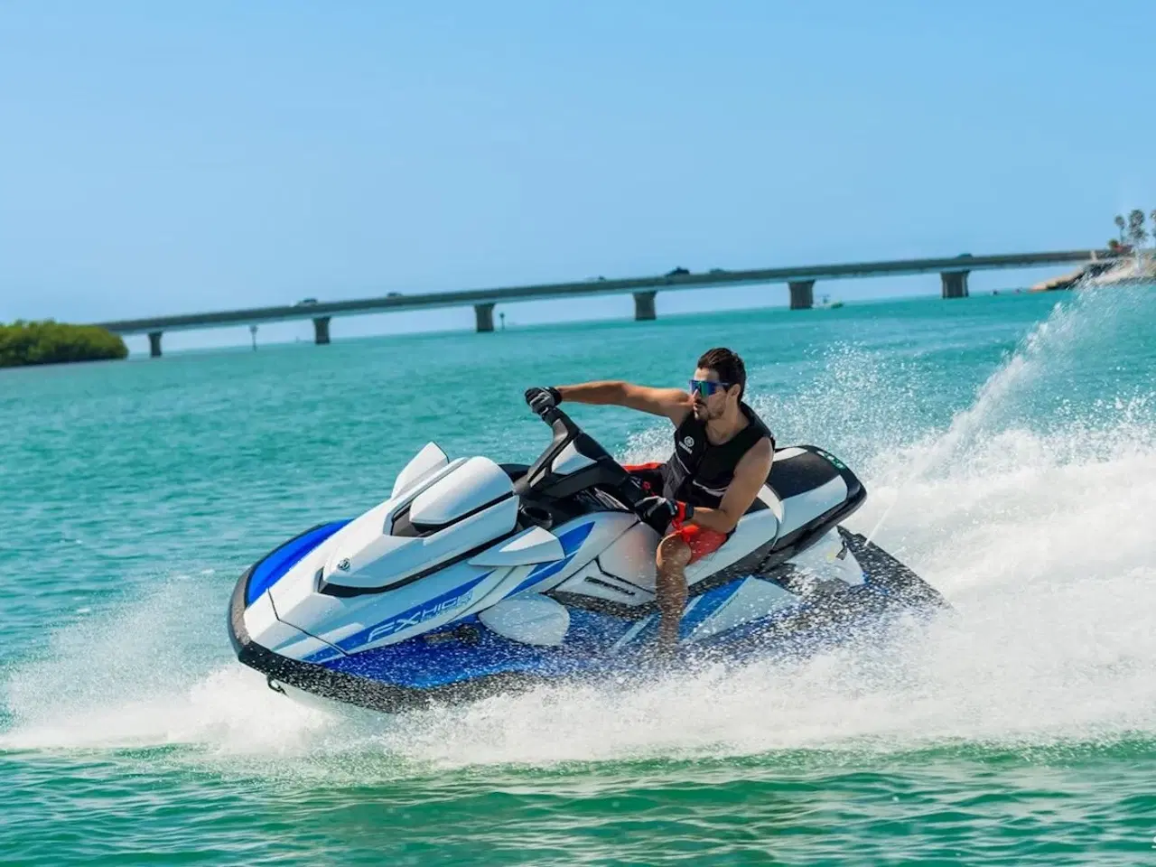 Billede 3 - Yamaha FX HO