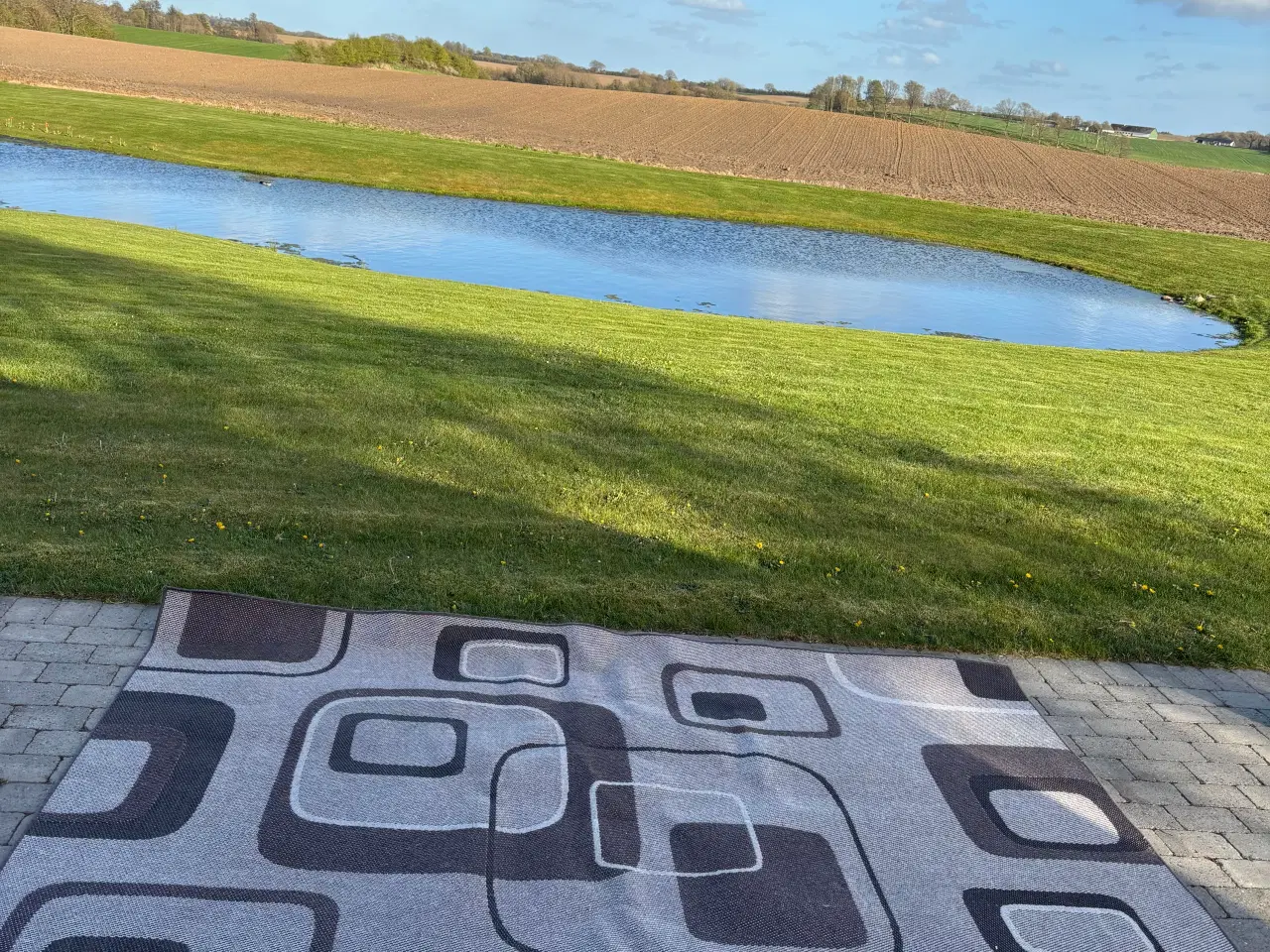 Billede 3 - Tæppe 2x 3 meter