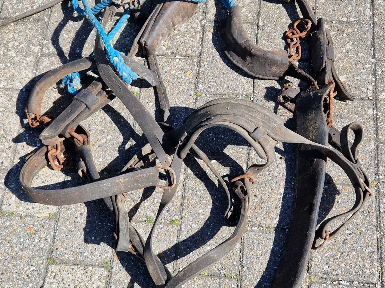 Billede 3 - Seletøj til heste 