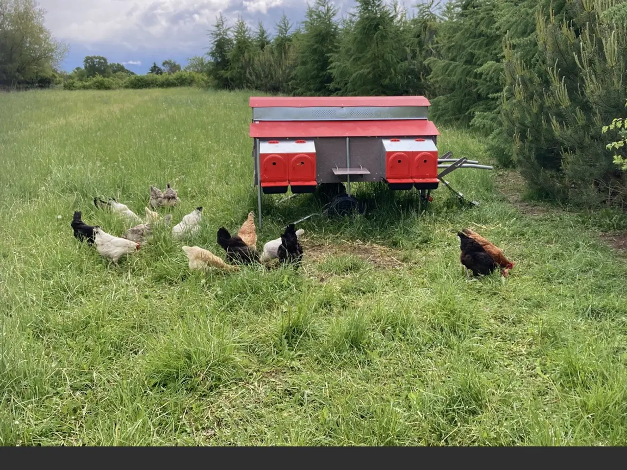 Billede 3 - Mobil hønse hus