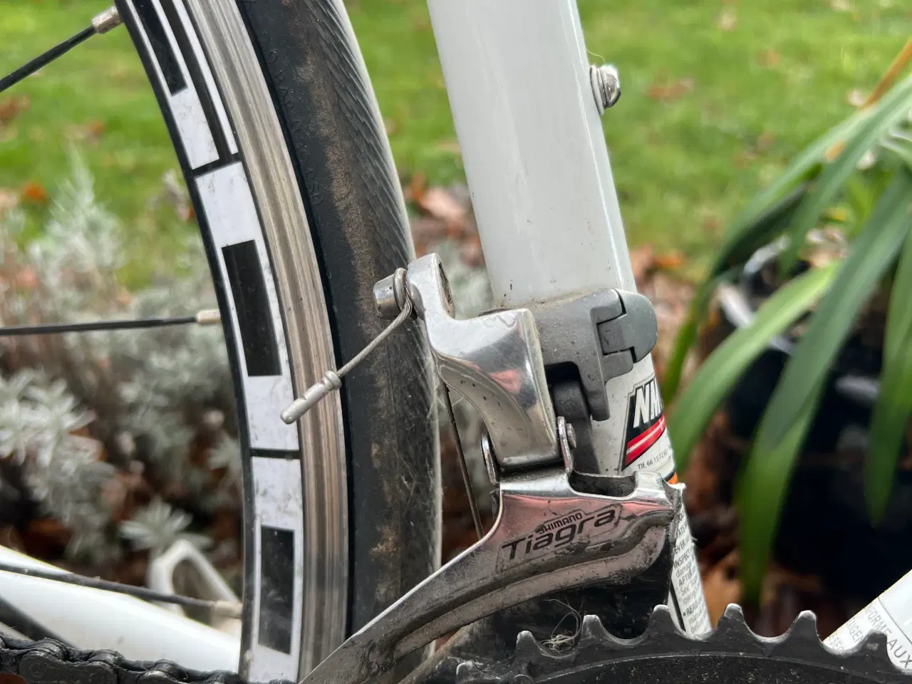 Billede 7 - Cannondale CAAD 8 Tiagra