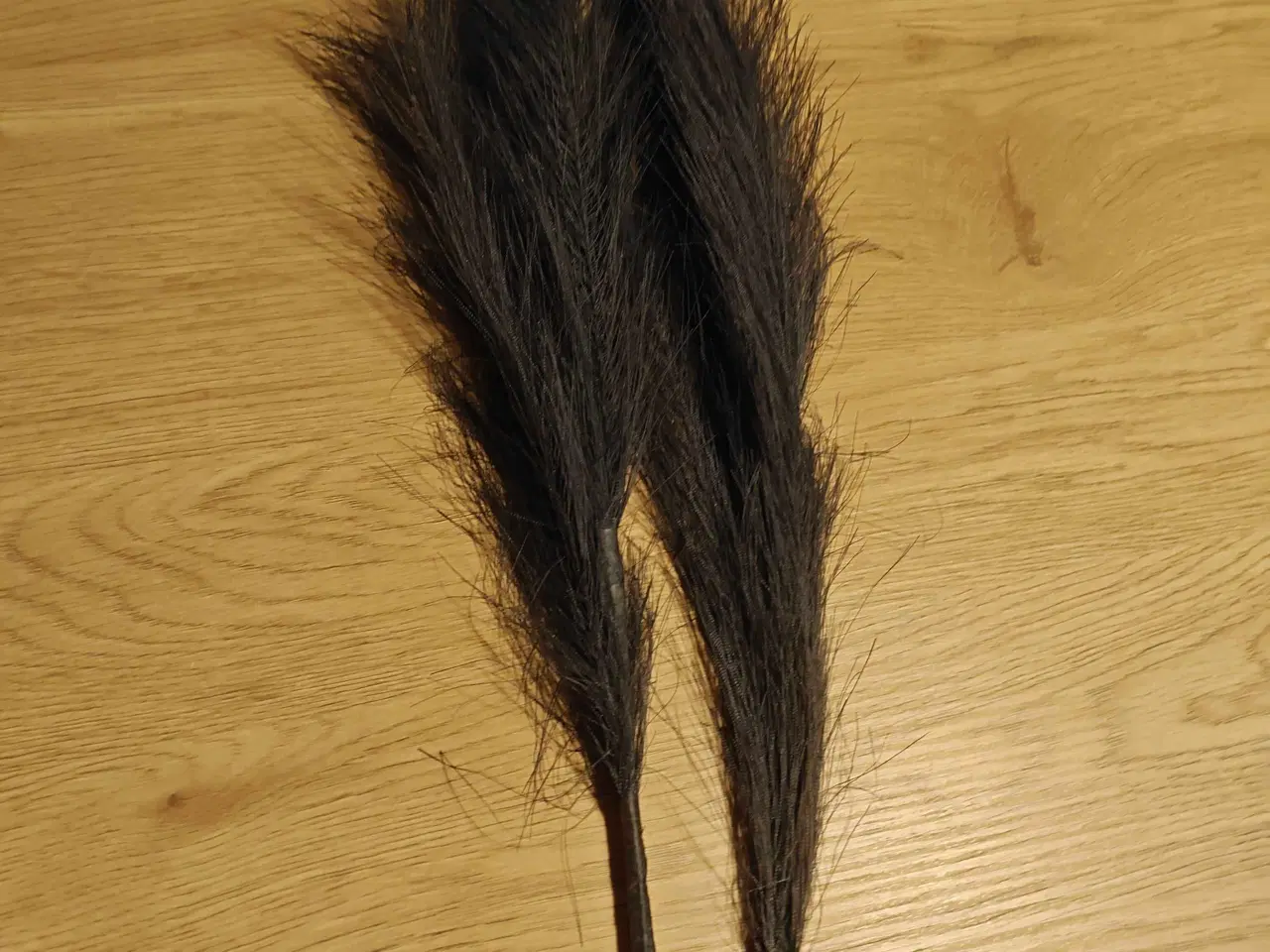 Billede 1 - Grene i fjer 