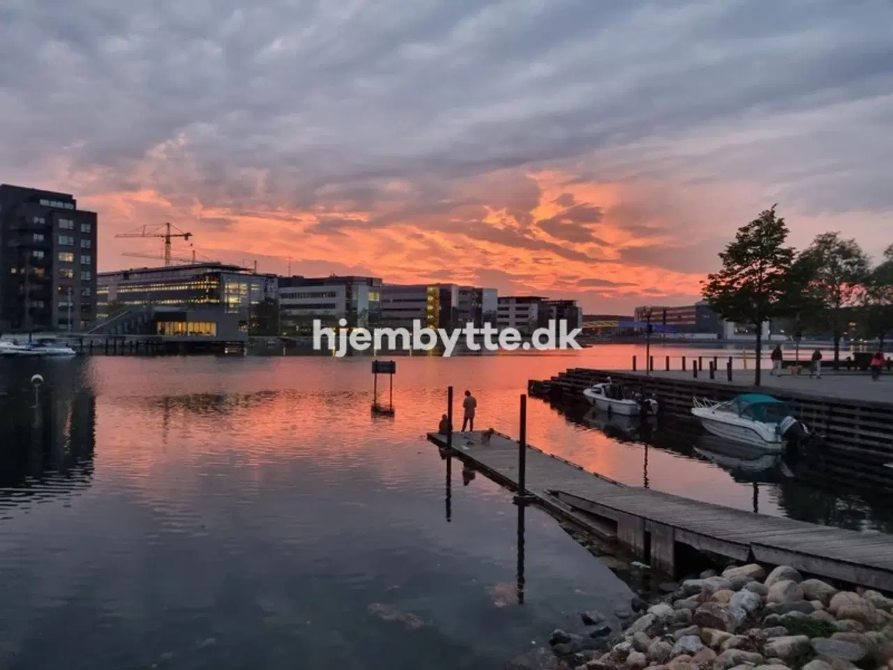 Billede 3 - Hjembytte - Sluseholmen