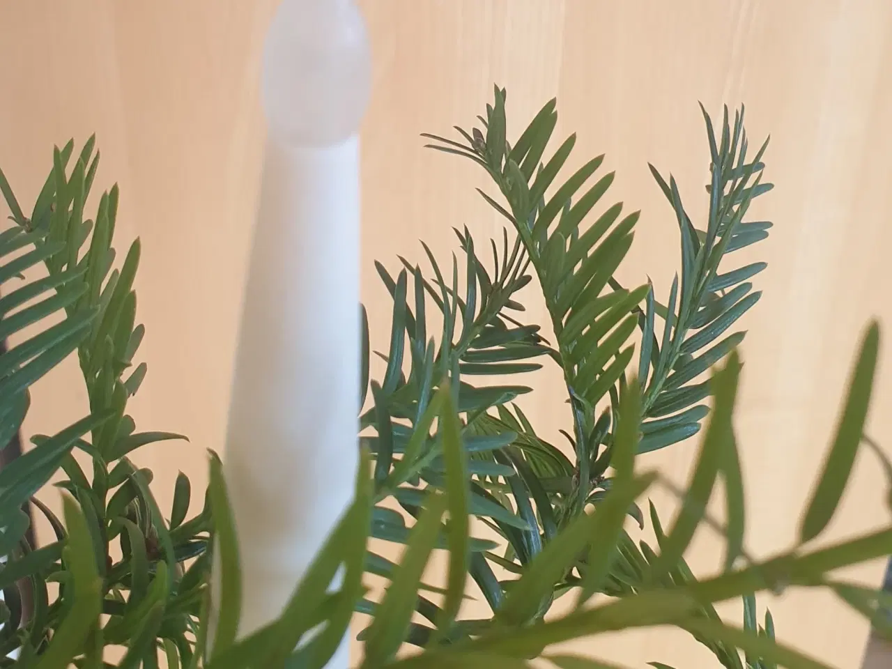 Billede 5 - Indendørs Juletræslys, ingen brandfare: 24 LED