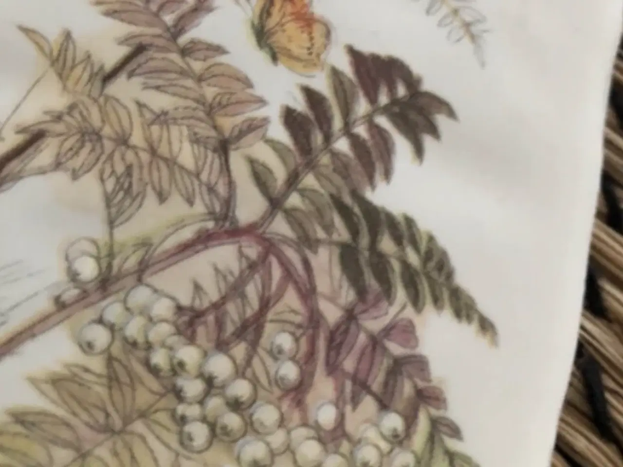 Billede 6 - Mads stage Kakler,fliser .Middelfart 